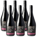 6x Pachet Sparkling