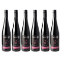 Pachet premium (6x Pádár Premium)