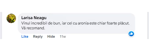 missing translation: "t:sections.review_slideshow.image_alt" is not present in any of the ["ro", "en"] schema locale files