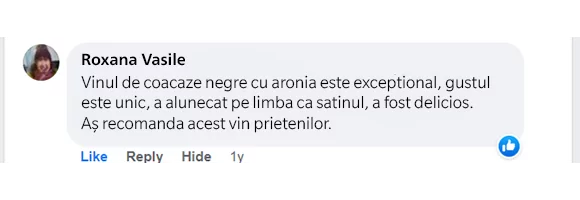 missing translation: "t:sections.review_slideshow.image_alt" is not present in any of the ["ro", "en"] schema locale files